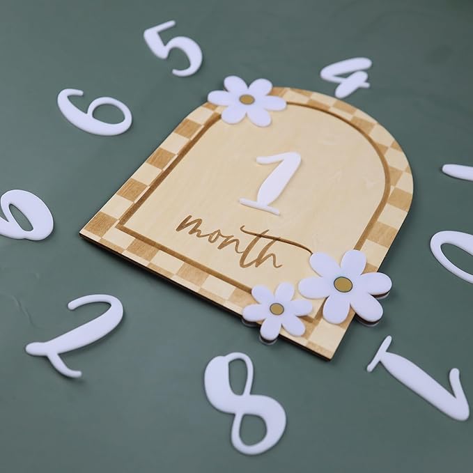 Daisy 3D Baby Monthly Milestone, Wooden Baby Milestone Signs, Monthly Milestone Wood Discs, Baby Milestone Discs (Caro Card)