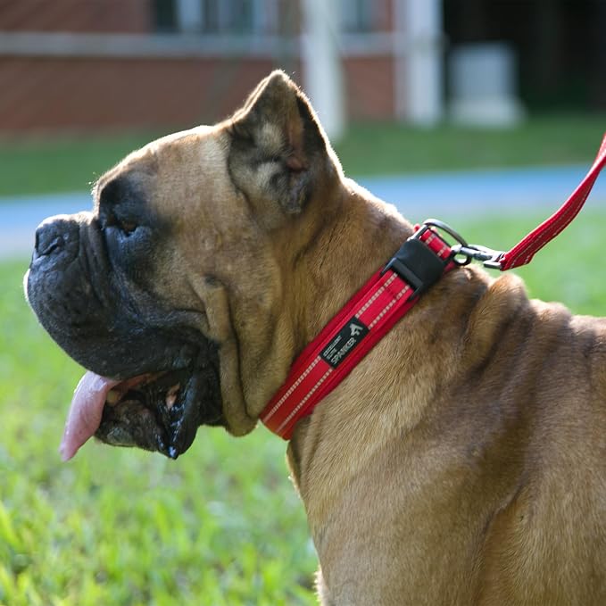 EXCELLENT ELITE SPANKER Reflective Dog Collar Classic Soft Padded Breathable - Image 7