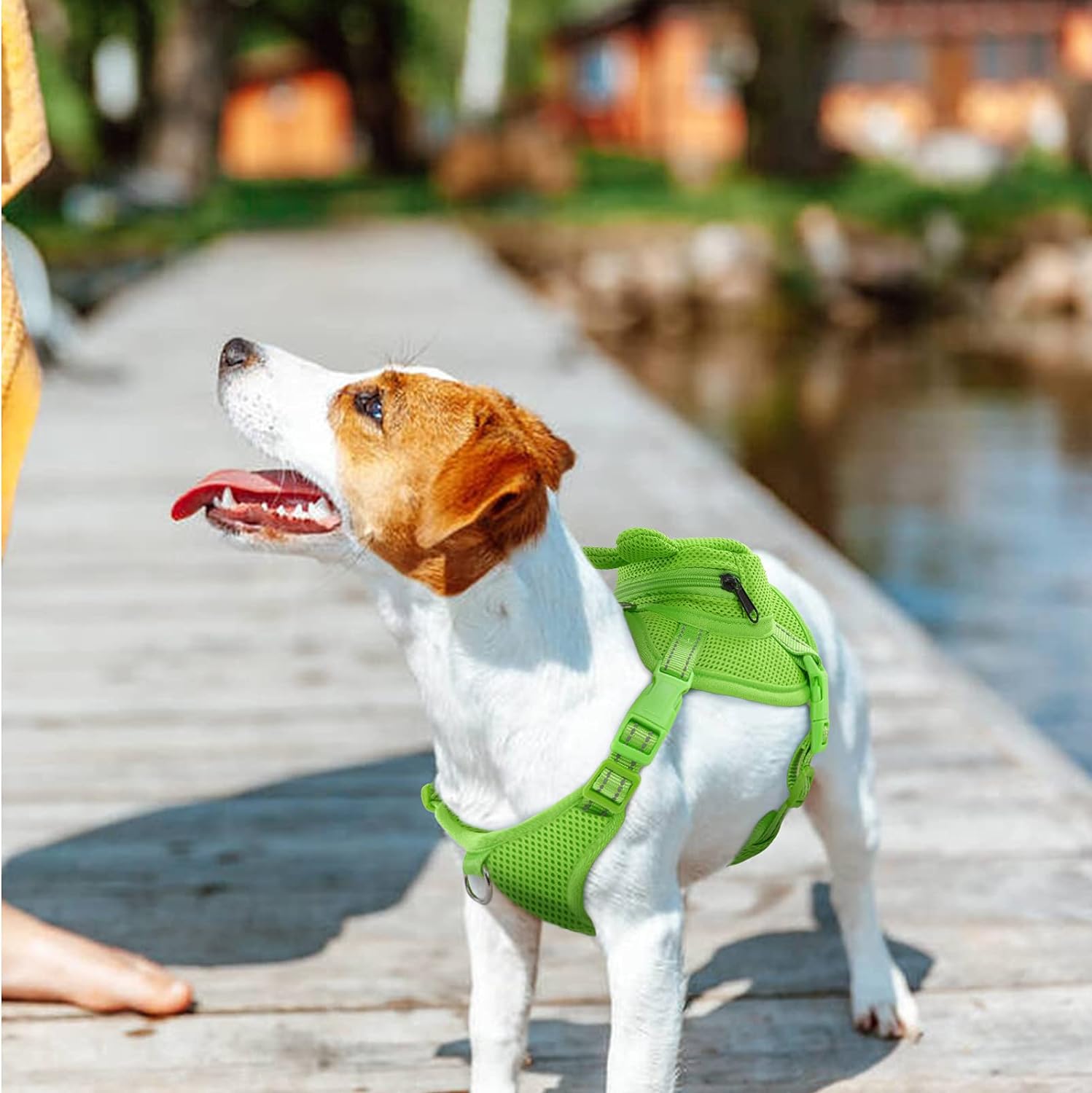 IDOMIK Dog Backpack Harness, No-Pull Dog Backpack with D-Ring for Small Medium Dogs, Cute Self Carrier Backpack for Dogs to Wear, Adjustable Doggy Backpacks for Traveling Camping Hiking, Frog, M