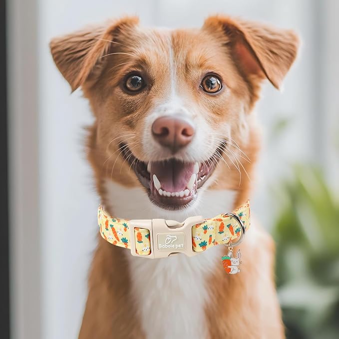 Easter Dog Collar for Medium Dogs - Image 7
