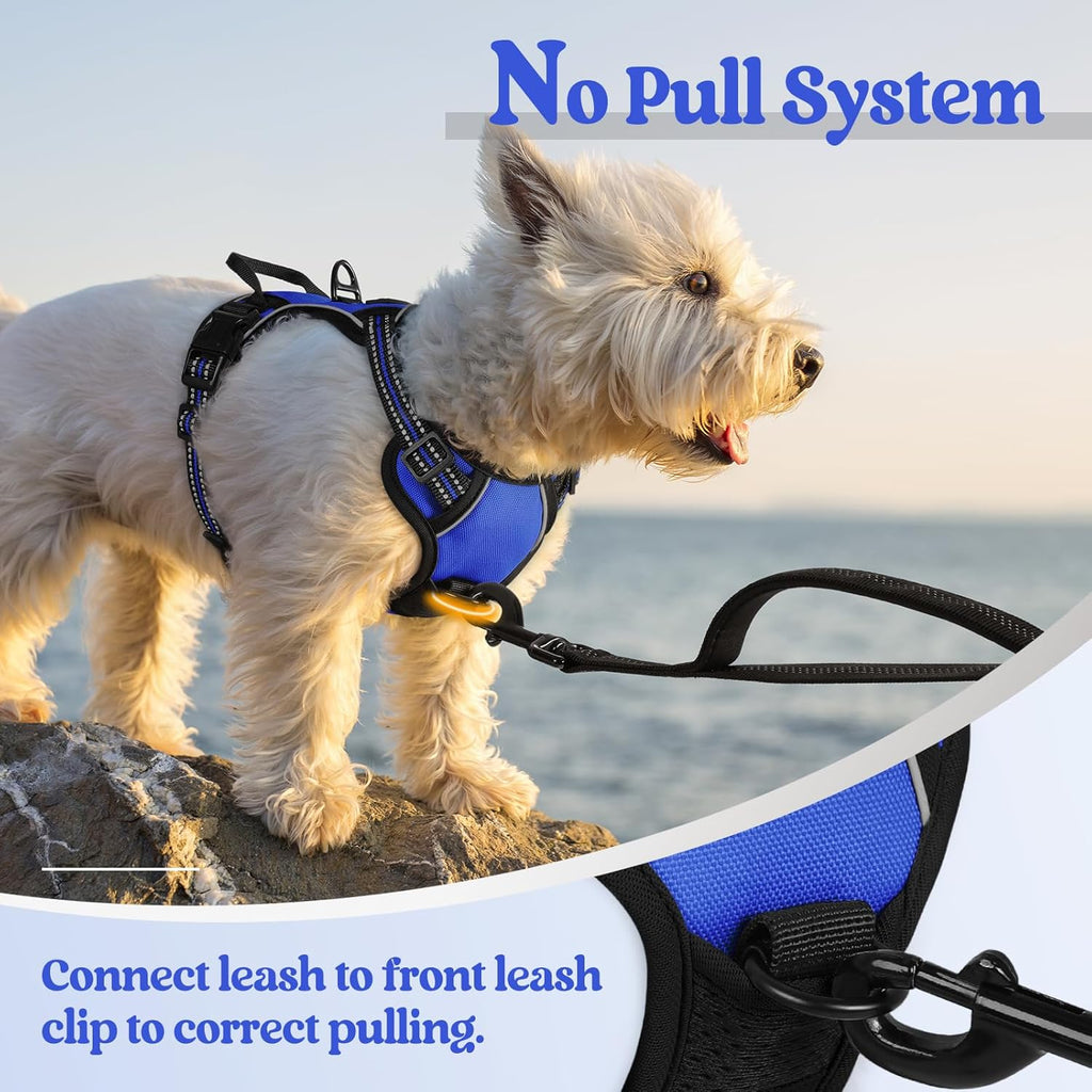 rabbitgoo Dog Harness No Pull with 2 Leash Clips, Adjustable Soft Padded, Reflective Oxford No Choke Pet Vest with Easy Control Handle for Puppy, Dazzling Blue,XS