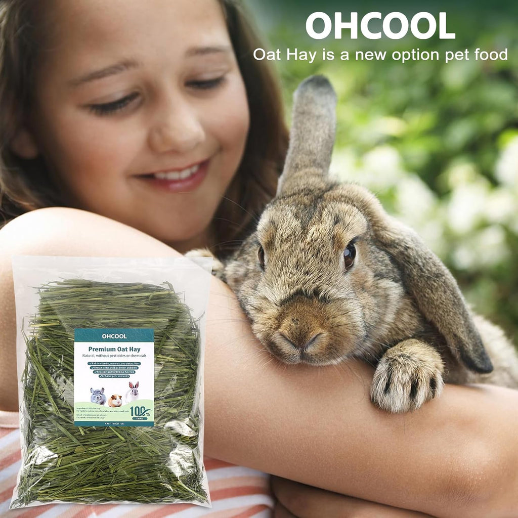 Premium Oat Hay for Pets - Dust Free Natural Green Fresh Pet Food Hay for Rabbits, Guinea Pigs, Chinchillas, Hamsters & Gerbils - 1.1lbs