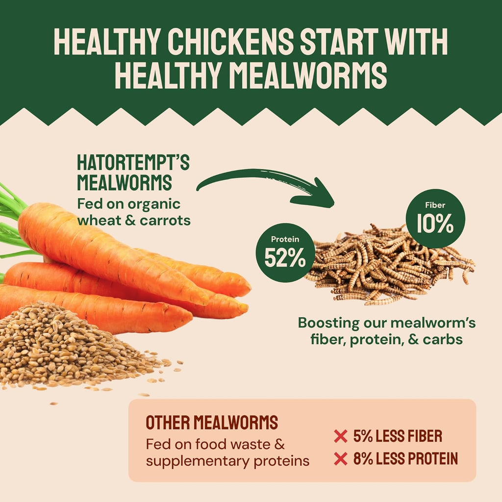 Bulk Dried Mealworms - 10 Lb Bag - Non-GMO Dried Mealworms for Chickens, Ducks & Wild Birds - High-Protein Chicken Feed & Bird Food