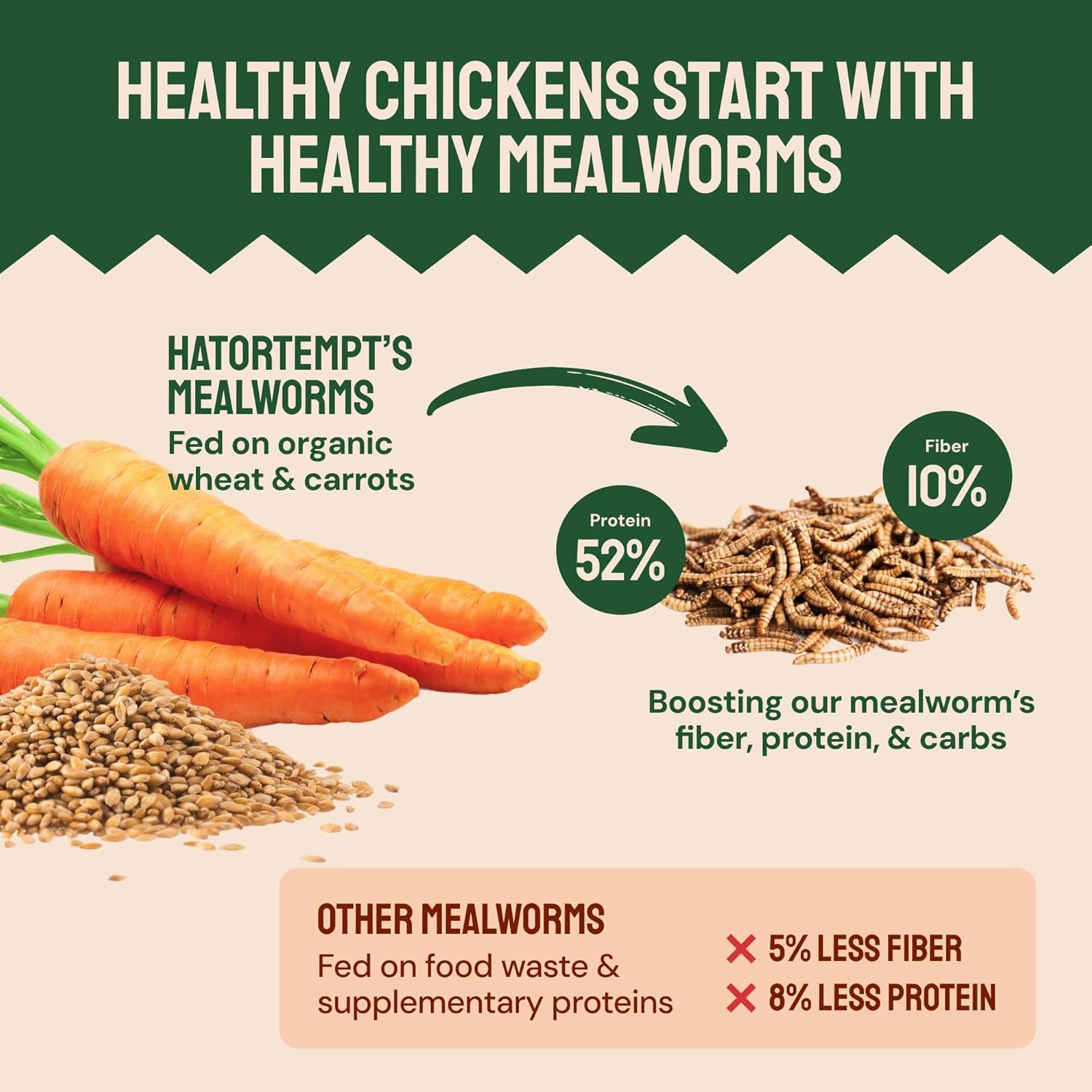 Bulk Dried Mealworms - 10 Lb Bag - Non-GMO Dried Mealworms for Chickens, Ducks & Wild Birds - High-Protein Chicken Feed & Bird Food