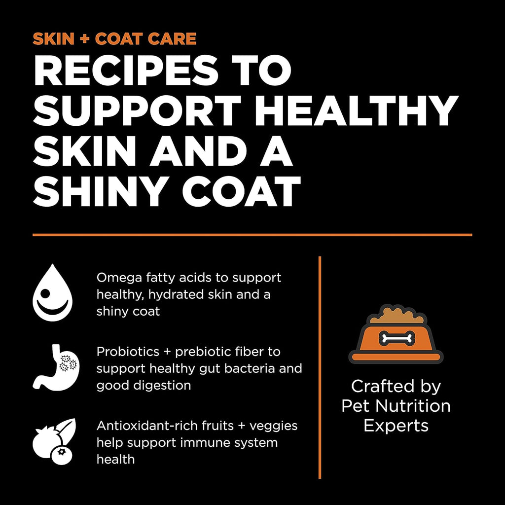 Go! Solutions Skin + Coat Care, Grain-Free Dry Cat Food, Salmon Recipe, 16 lb Bag