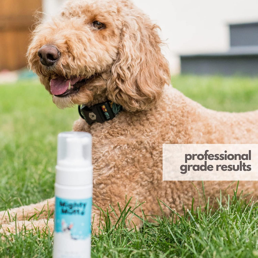 Mighty Mutt Hypoallergenic Waterless Shampoo for Dogs | Dry Shampoo for Dogs | Waterless Foam No Rinse | Anti-Itch, Soothing and Deodorizing | Spring Meadow | 8 Fl Oz