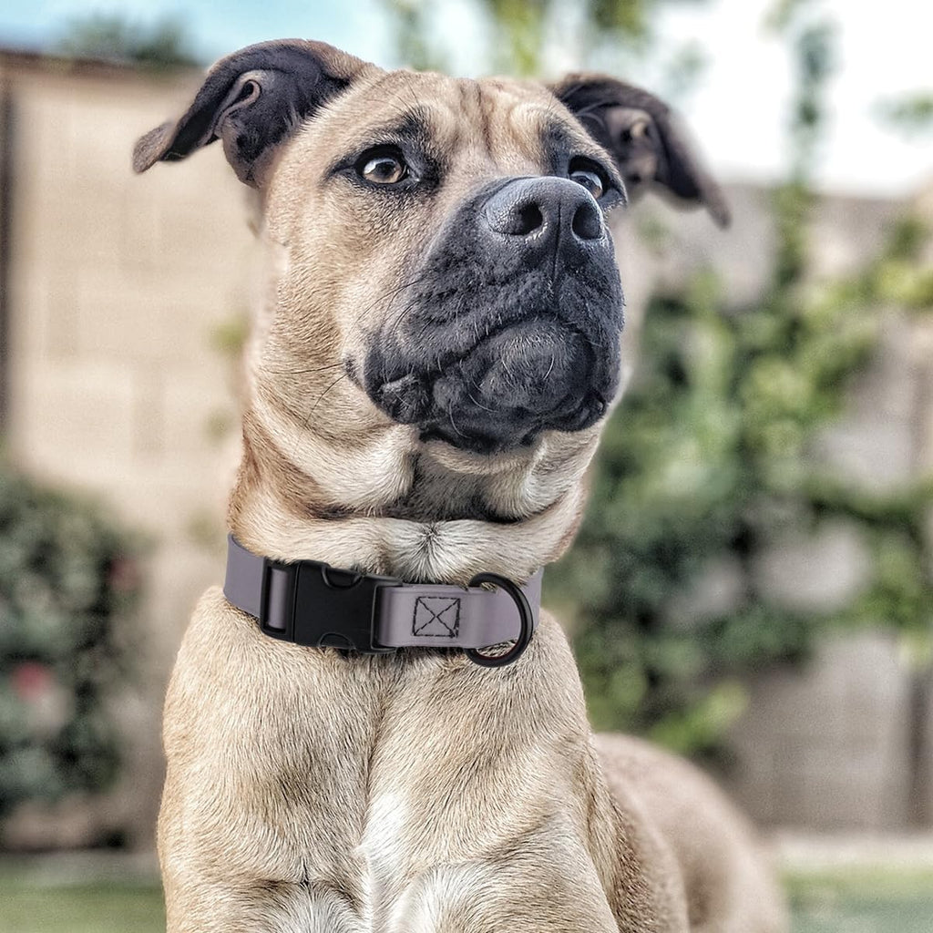 Dogline Biothane Waterproof Dog Collar with Quick Release Buckle Strong Coated Nylon Webbing with Odor- Proof for Easy Care Easy to Clean Fits Small Medium Large Dogs, Grey 1" W 15-25" L
