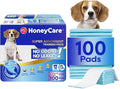 HONEY CARE All-Absorb A07 Bulk Packaging Training Pads, Large by HoneyCare