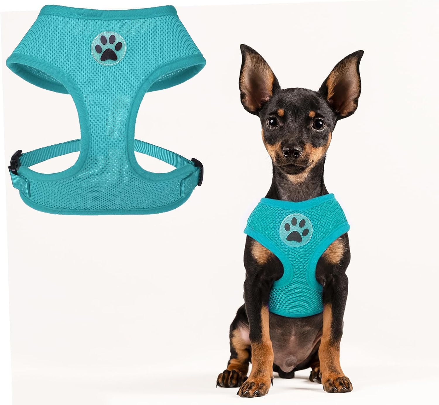 BINGPET No Pull Dog Harness,All Weather Mesh Step-in Vest Harness for Small Dogs,Breathable Mesh Puppy & Cat Harness