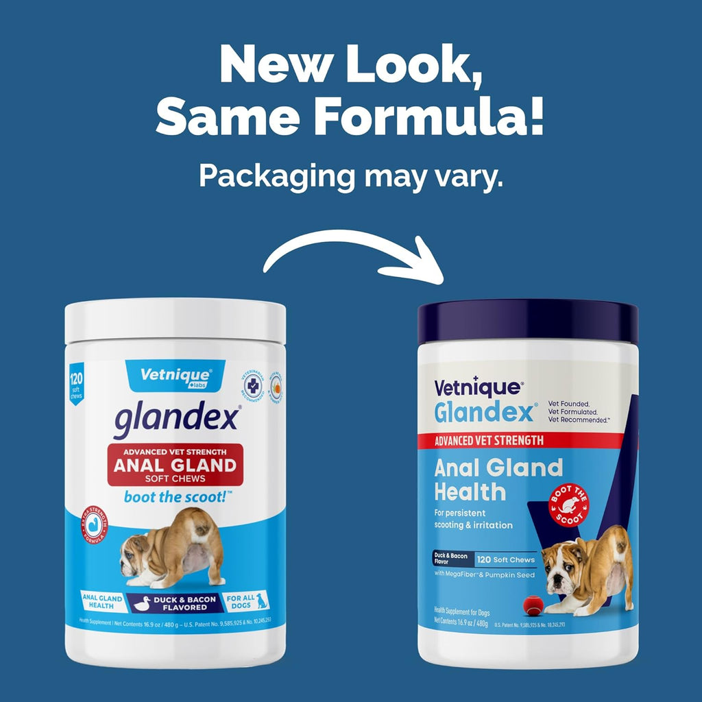 Vetnique Glandex Anal Gland Soft Chew Treats with Pumpkin for Dogs Digestive Enzymes, Probiotics Fiber Supplement for Dogs Boot The Scoot (Advanced Strength Duck/Bacon Chews (Vegetarian), 120 Ct)
