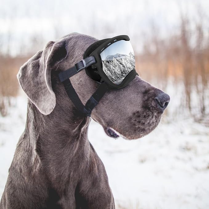Dog Goggles for Large Dogs, UV Wind Dust Fog Protection, Soft Frame Adjustable - Image 7