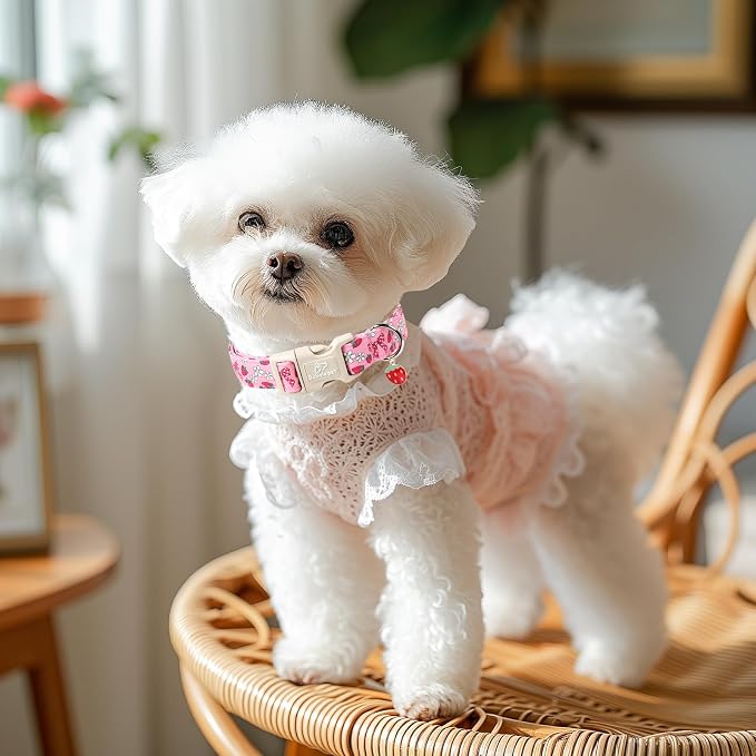 Strawberry Bow Dog Collar for Small Dogs - Image 2