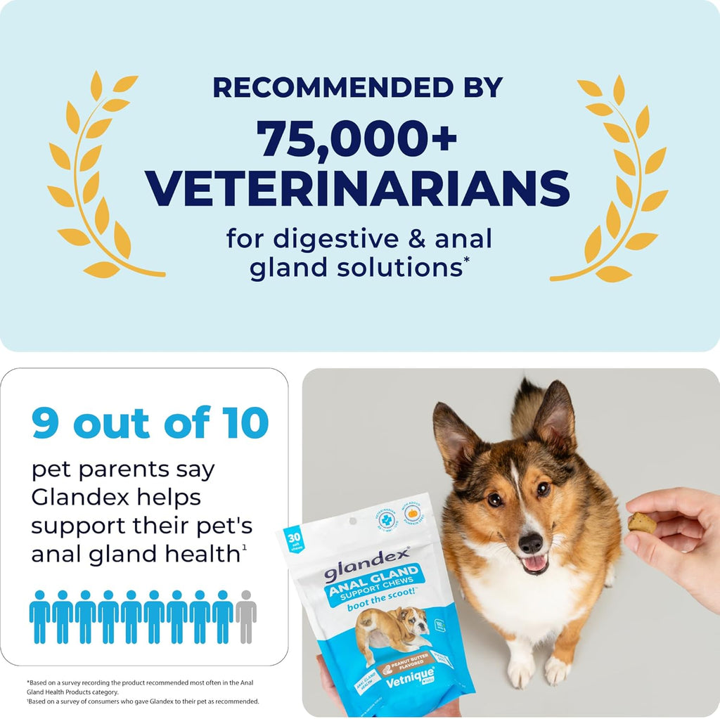Vetnique Labs Glandex Anal Gland Soft Chew Treats with Pumpkin for Dogs Digestive Enzymes, Probiotics Fiber Supplement for Dogs Boot The Scoot (Peanut Butter Chews, 30 Count)