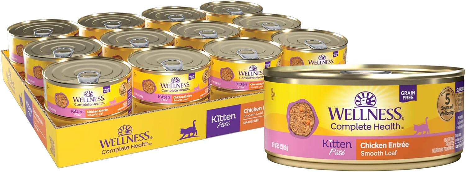 Wellness Complete Health Pate Kitten Wet Cat Food, Natural, Protein-Rich, Grain Free, 5.5 Ounce, 24 Pack, (Chicken)