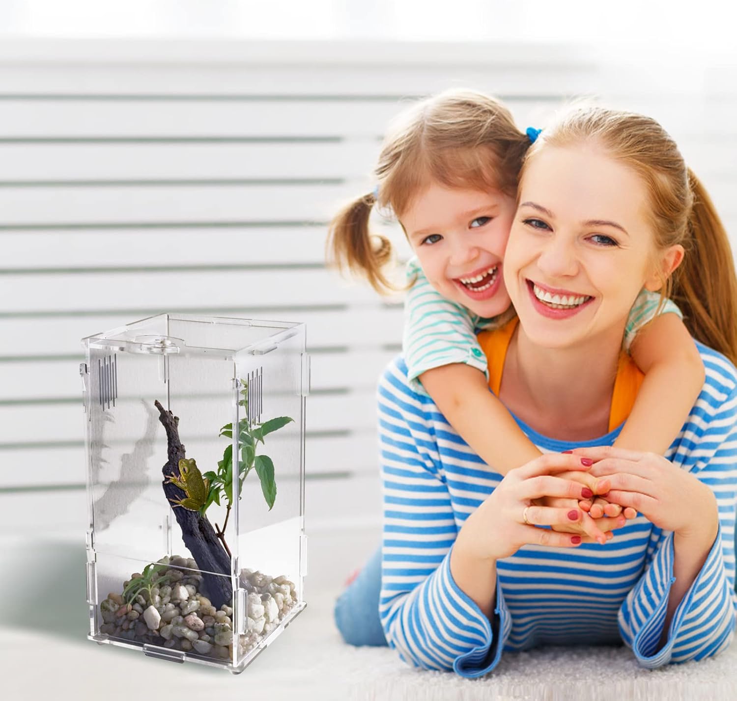 BETAZOOER Acrylic Mini Reptile Tank Habitat Transparent Terrariums with Locking Latch Suitable for Tarantula Isopod Roach Invertebrates (8''x6''x14'')