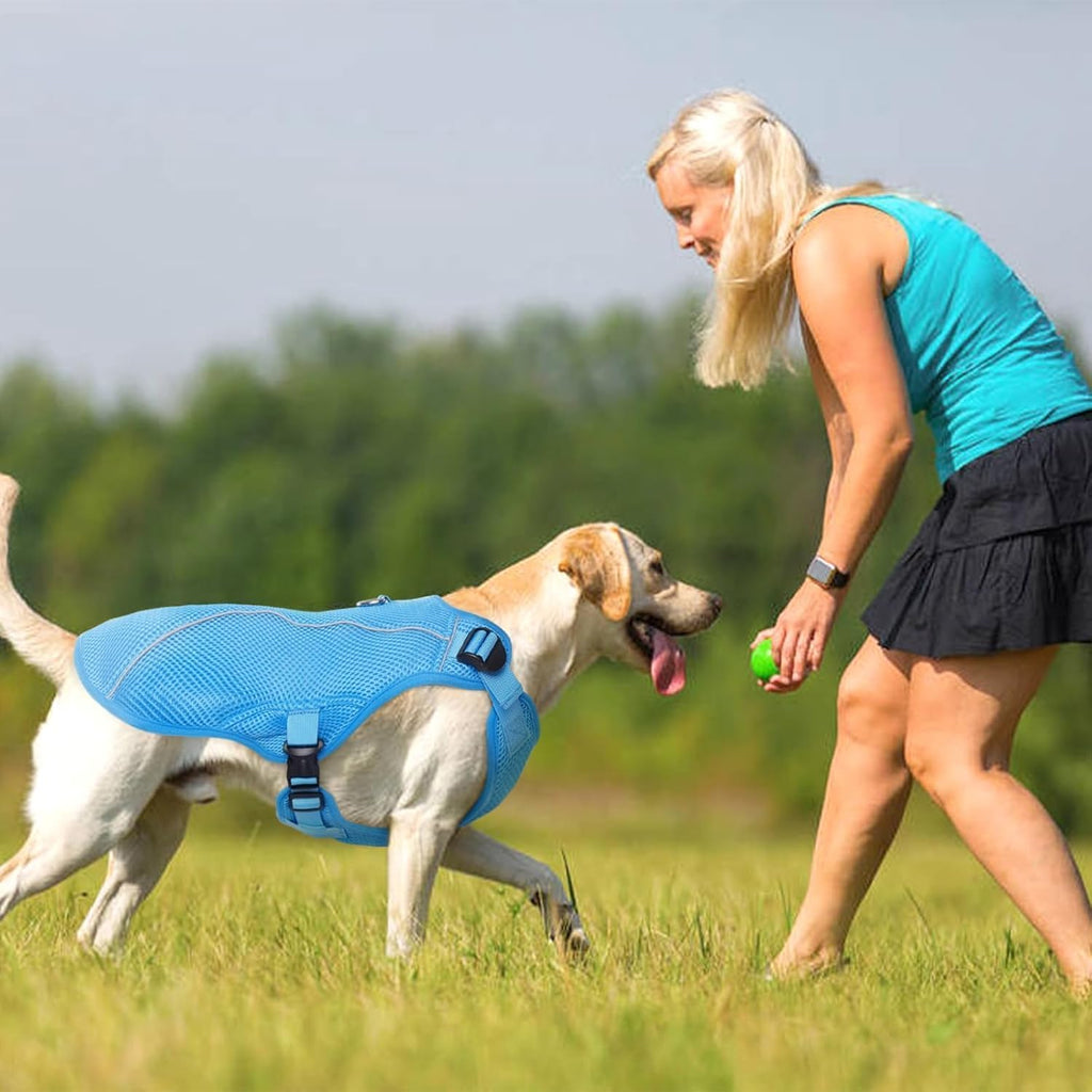 Kuoser Dog Cooling Vest for Large Dogs, Lightweight Doggie Cooler Jacket Breathable Mesh Pet Cooling Shirts Reflective Puppy Cool Harness for Beach, Hiking, Walking Blue XXL