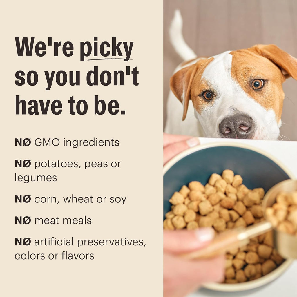The Honest Kitchen Human Grade Whole Food Clusters Dry Dog Food - Whole Grain Beef & Oats, 20 Pound Bag