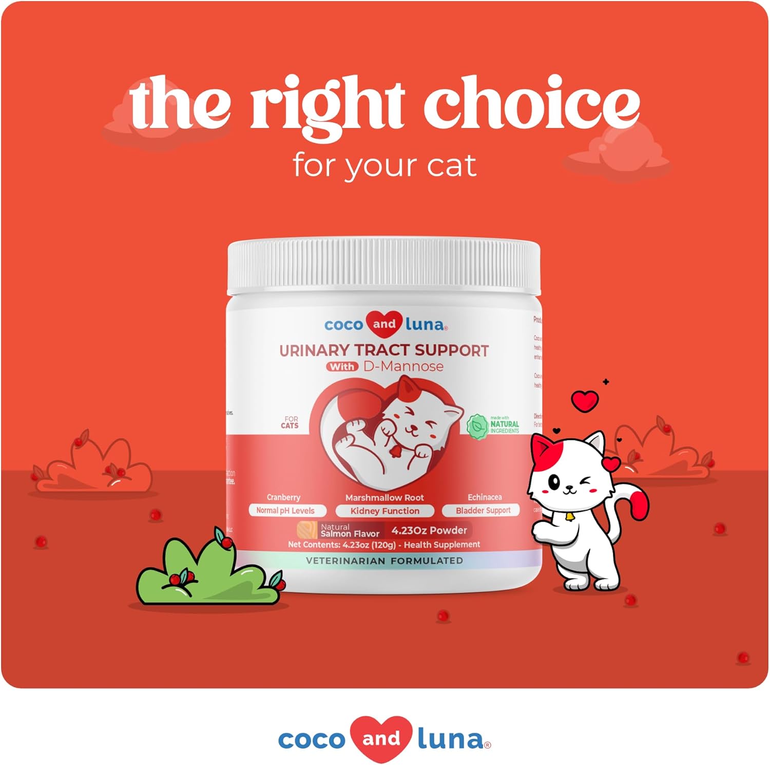 Cranberry for Cats - Incontinence Support, Urinary Tract Support, Cat UTI, Bladder Support, 120g Powder