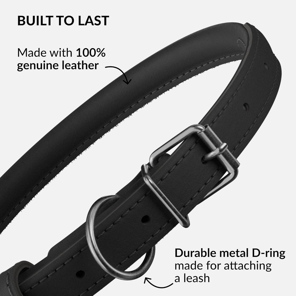 CollarDirect Rolled Leather Dog Collar, Soft Padded Round Puppy Collar, Handmade Genuine Leather Collar Dog Small Large Cat Collars 13 Colors (8-11 Inch, Black Smooth)