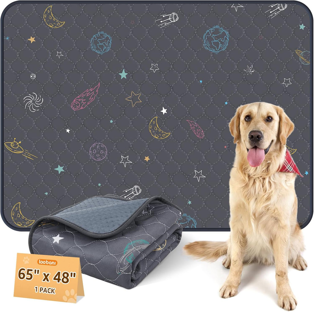 LOOBANI Washable Pee Pads for Dogs: Large Dog Pee Pad Reusable 65" x 48", Absorbent Pet Whelping Pads, Waterproof and Non-Slip Dog Training Mats for Crate, Playpen, Floor, Sofa, Cage, Grey