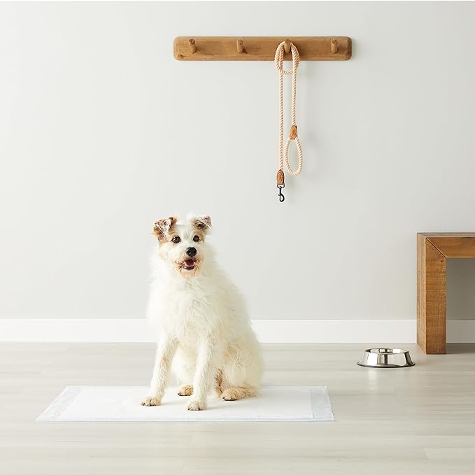 Amazon Basics Leak-Proof Dog and Puppy Potty Training Pee Pads - Image 7