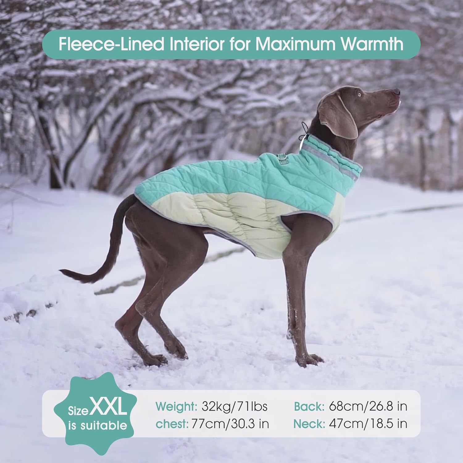 FUAMEY Dog Coat for Small Dogs,Waterproof Dog Winter Jacket with Harness Built in Puppy Cold Weather Coats Reflective Pet Vest with Zipper Warm Fleece Dogs Snowsuit Windproof Mint Green XS