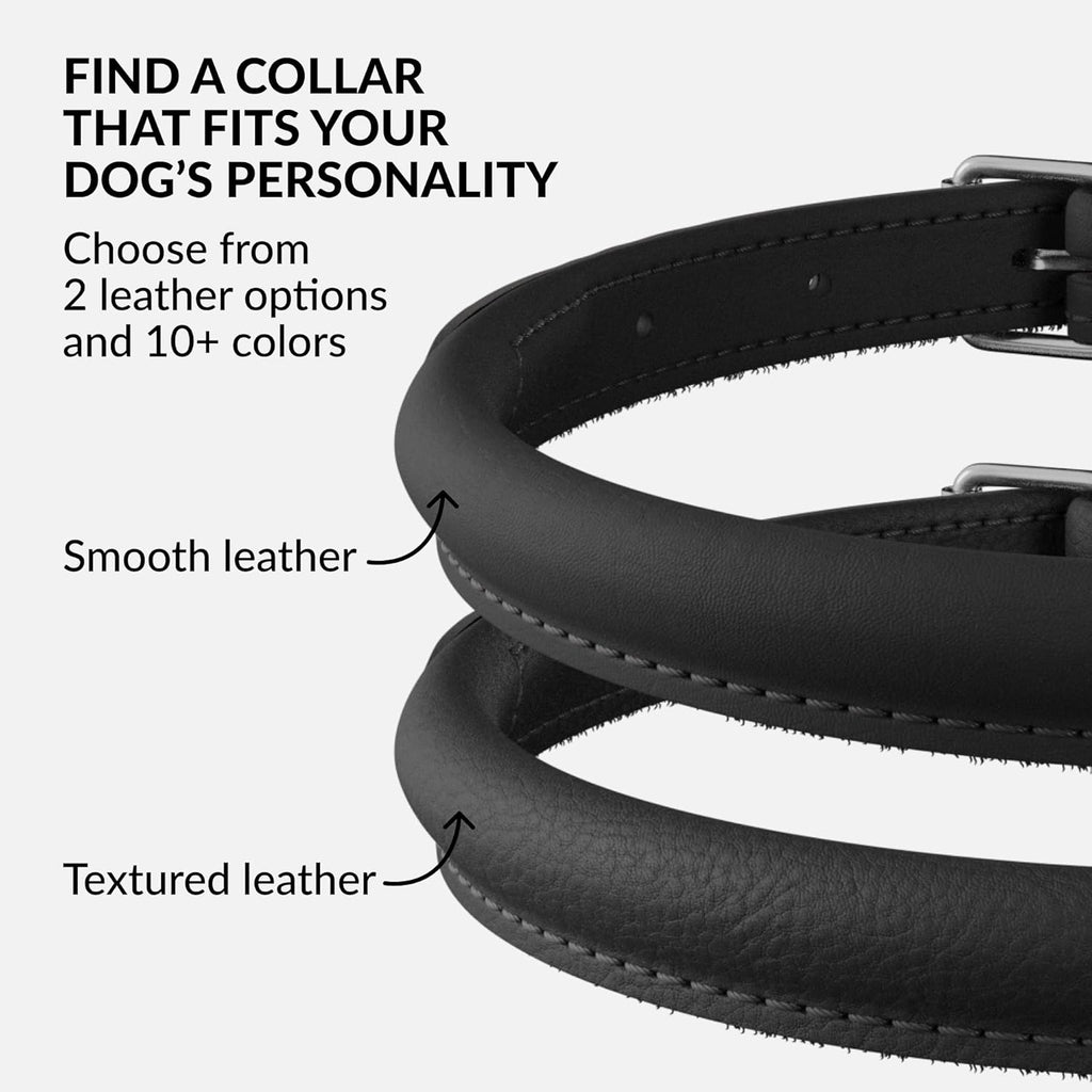 CollarDirect Rolled Leather Dog Collar, Soft Padded Round Puppy Collar, Handmade Genuine Leather Collar Dog Small Large Cat Collars 13 Colors (11-14 Inch, Black Smooth)
