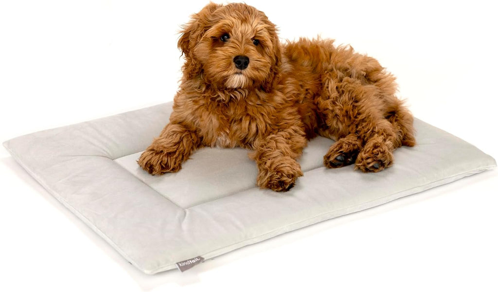 KindTail Dog Crate Pad - Soft Velvet, Reversible Bed - Machine Washable Kennel Mat for Pets up to 25 lbs - Mattress for Cozy Sleeping - 25” x 19” x 1” (Light Grey, Medium)