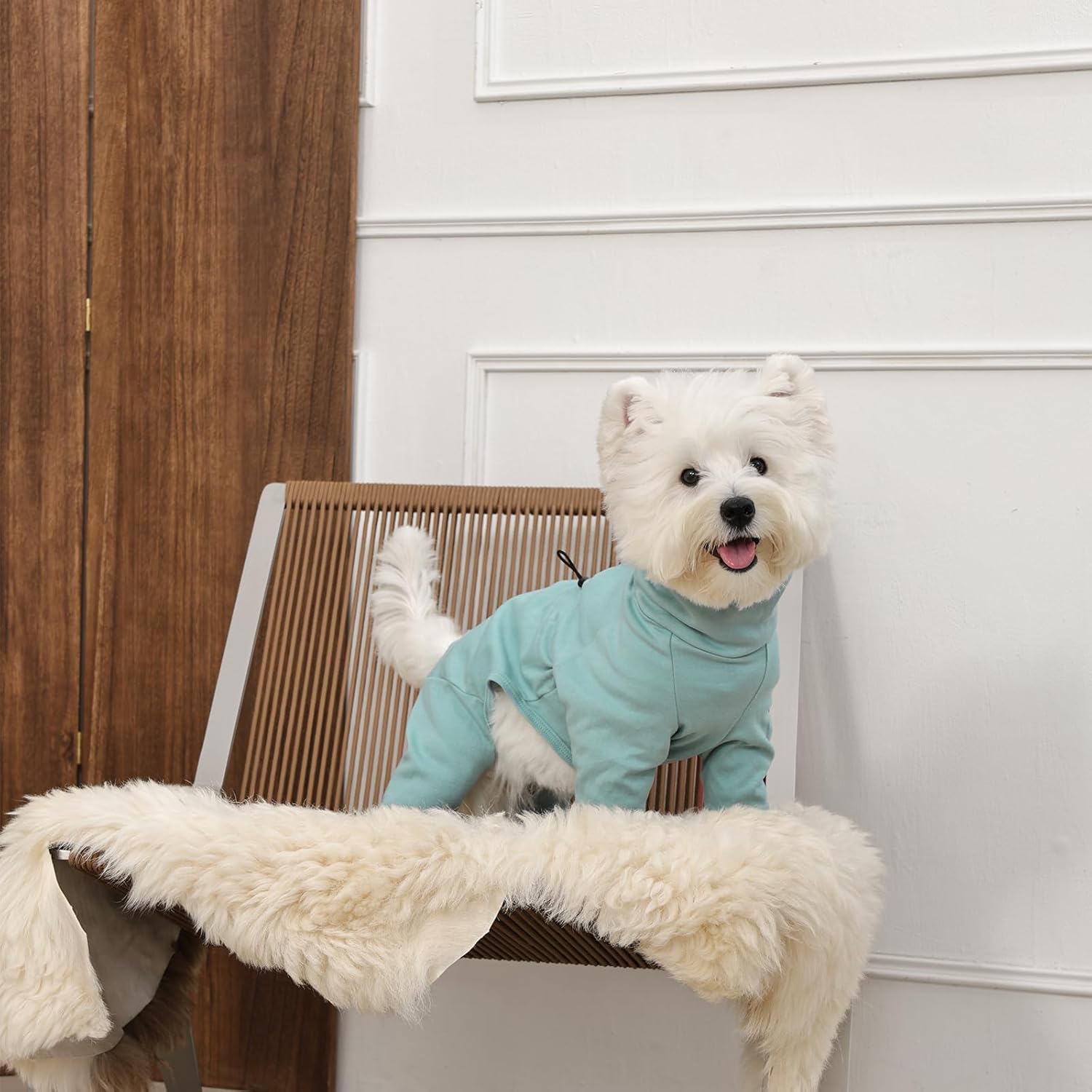 Dog Recovery Suit, Long Sleeve Dogs Pjs for Small Dogs, Easy On/Off Dog Onesies with Back Zipper, Adjustable Anti-Licking Wound Shedding Suits for Pets, Schnauzer, Dachshund, Green S