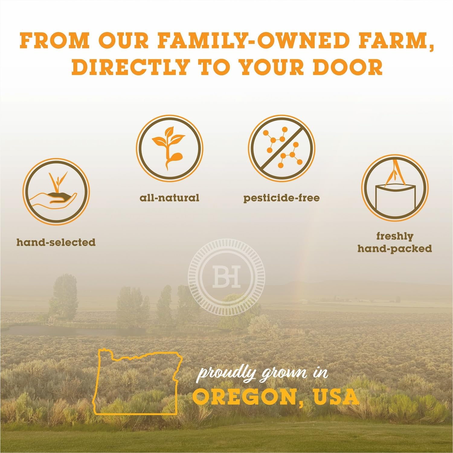 Orchard Grass Hay for Guinea Pigs, Rabbits, Hamsters & Small Pets by Bunny Honey - Fresh, High-Fiber, Supports Digestive Health & Dental Care, Non-Blended & Fresh Cut