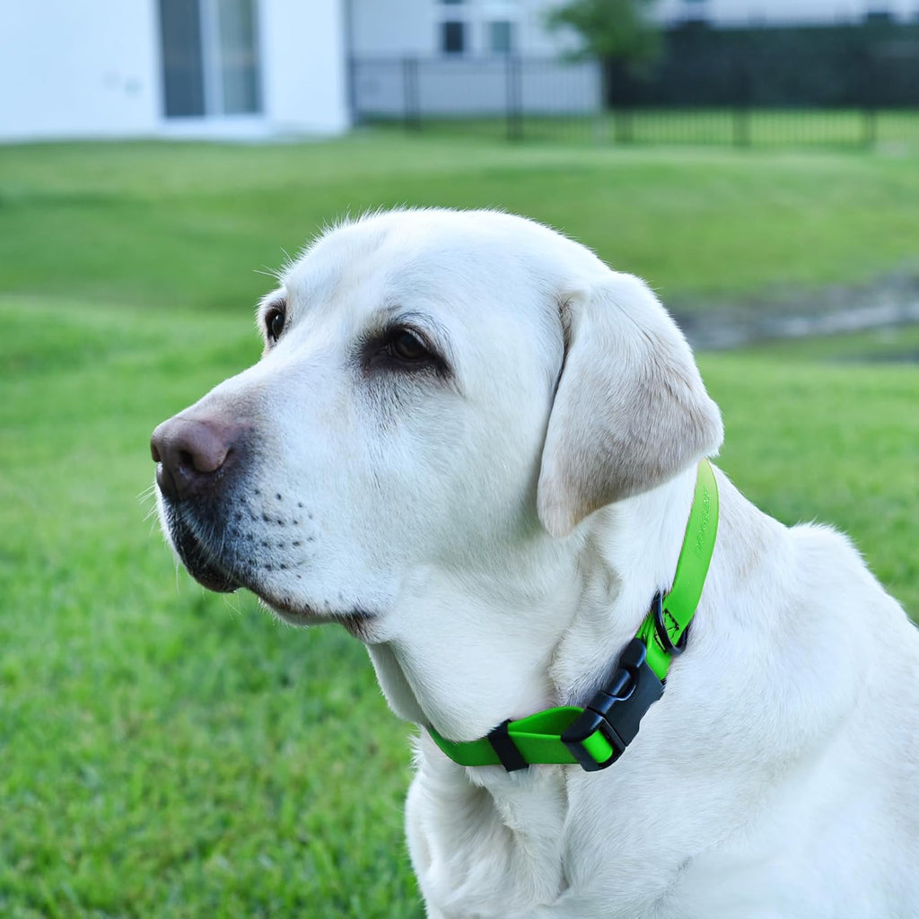Dogline Biothane Waterproof Dog Collar with Quick Release Buckle Strong Coated Nylon Webbing with Odor- Proof for Easy Care Easy to Clean Fits Small Medium Large Dogs, Lime Green 3/4" W 12-19" L
