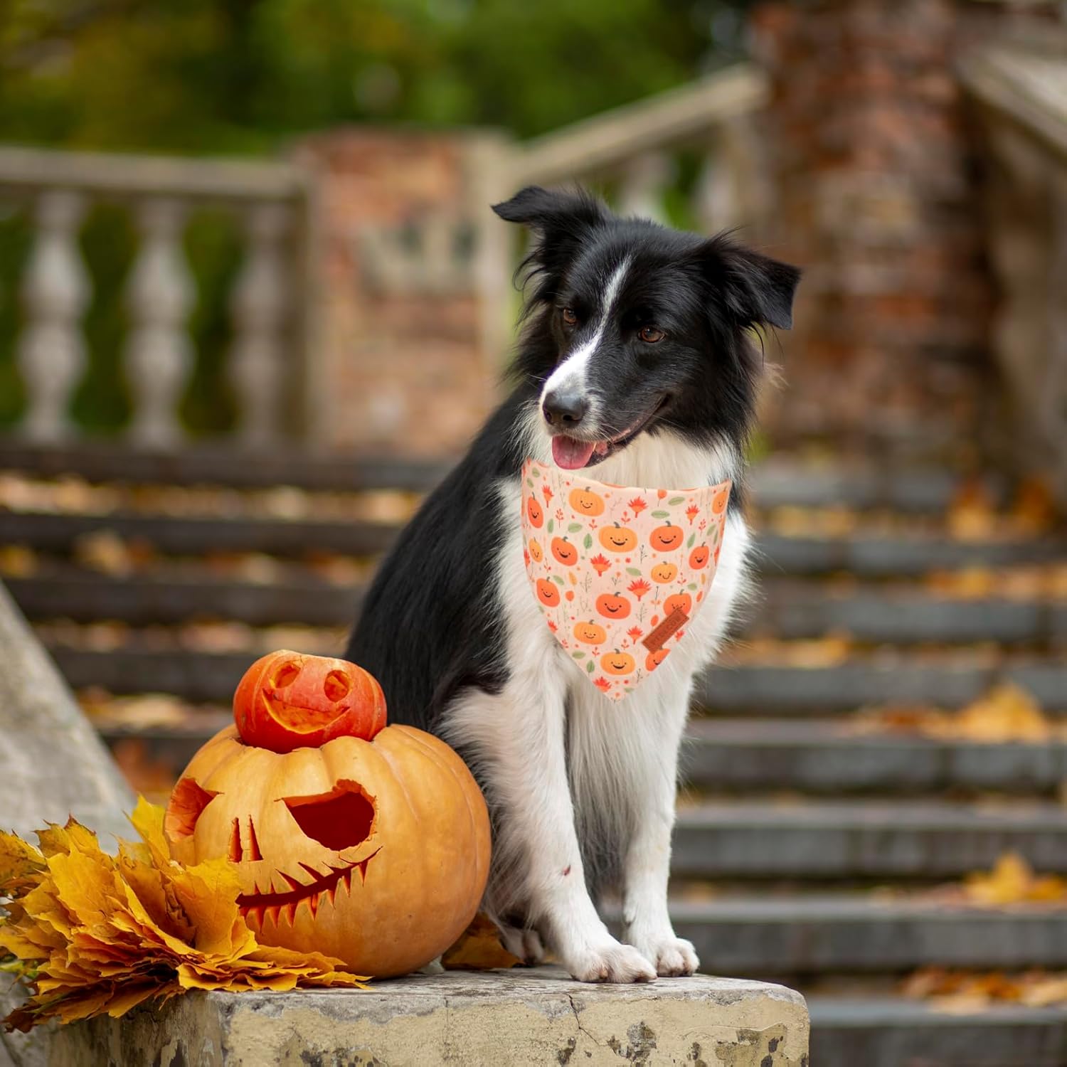 PTDECOR Halloween Dog Bandana, Ghost Pumpkin Design Reversible Holiday Dog Scarf, Triangle Halloween Bandanas for Medium Large Dogs Pets (Large)