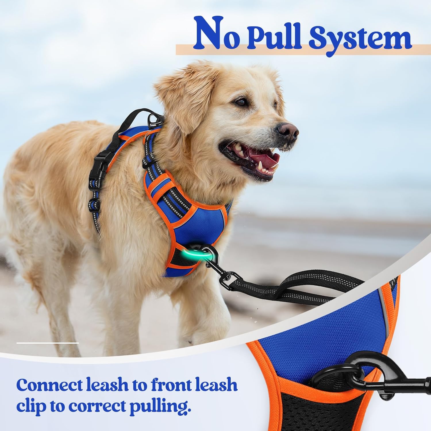 rabbitgoo Dog Harness No Pull with 2 Leash Clips, Adjustable Soft Padded, Reflective Oxford No Choke Pet Vest with Easy Control Handle for Medium Sized Dogs, Blue & Orange, M