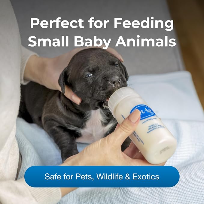 Pet-Ag Nursing Kit - 2 oz - Image 3