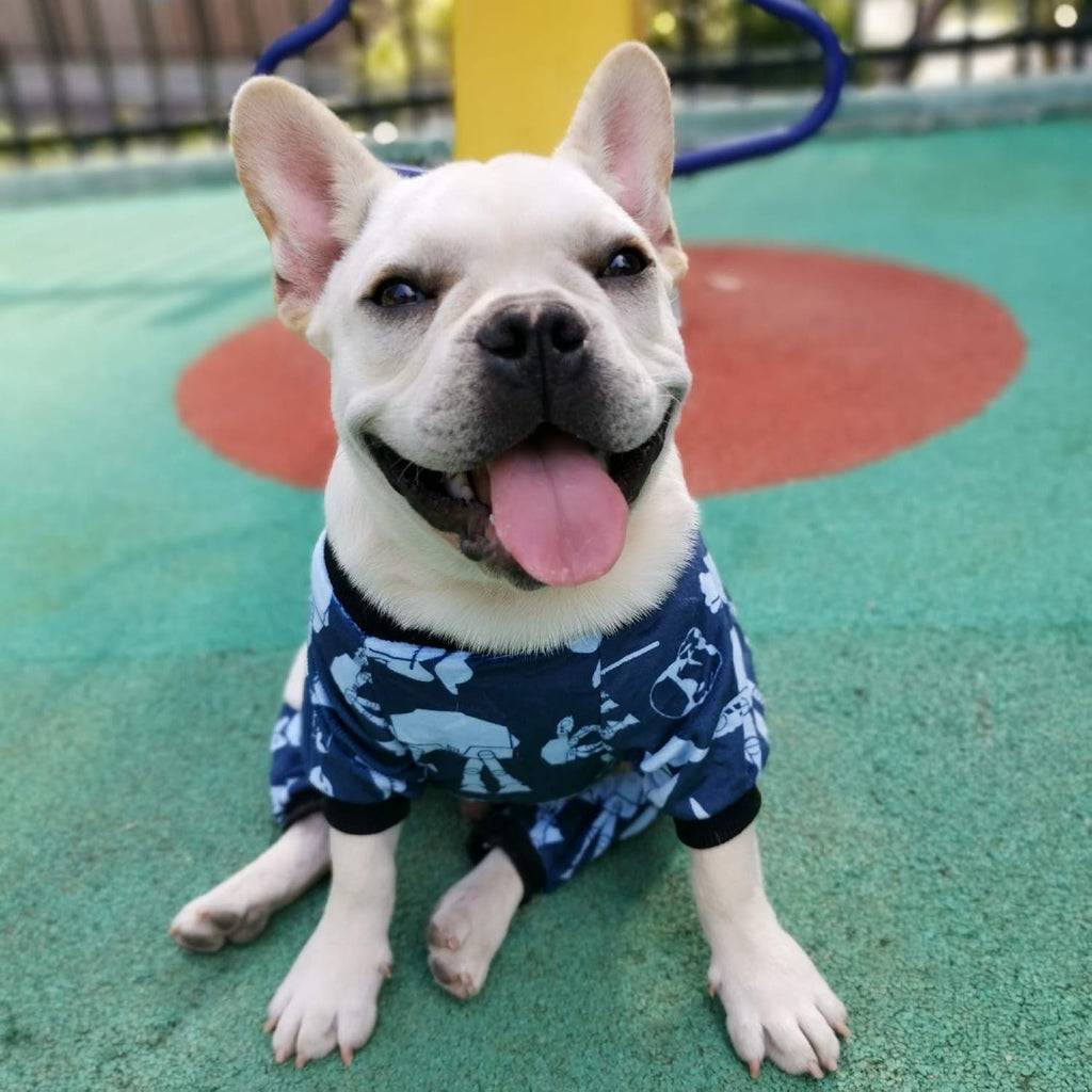 CuteBone Small Dogs Outfit Soft Puppy Onesies Pjs Dog Pajamas Pet Coat Cat Apparel Comfy Doggie Jumpsuit Bodysuit for All Seasons P47L