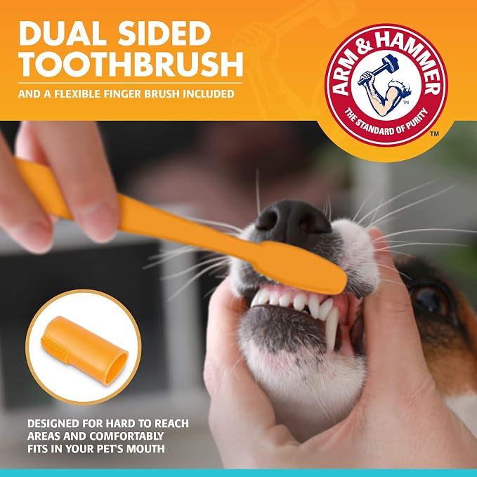 Arm & Hammer for Pets Enzymatic Dog Dental Care Kit, Chicken Flavor Toothpaste - Image 3
