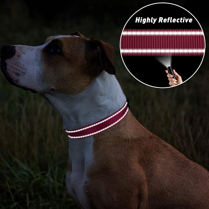 TagME Small Dog Collars, Adjustable Reflective Nylon Pet Collar - Image 5