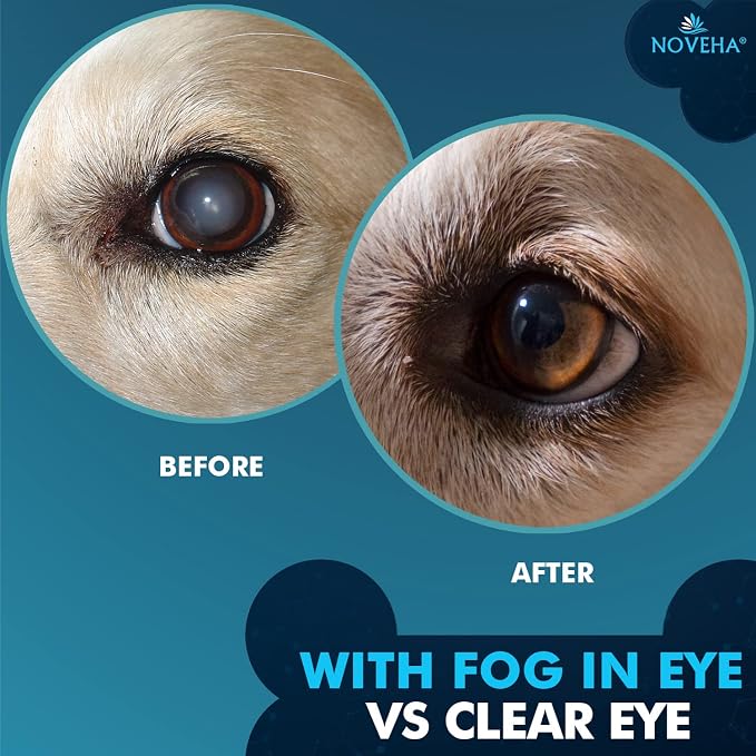 NOVEHA Pet Drops | Advanced Lanosterol Solution + NAC - Image 6
