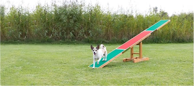 TRIXIE Agility Dog Seesaw with Contact Zones | Teeter Totter, Agility at Home - Image 2