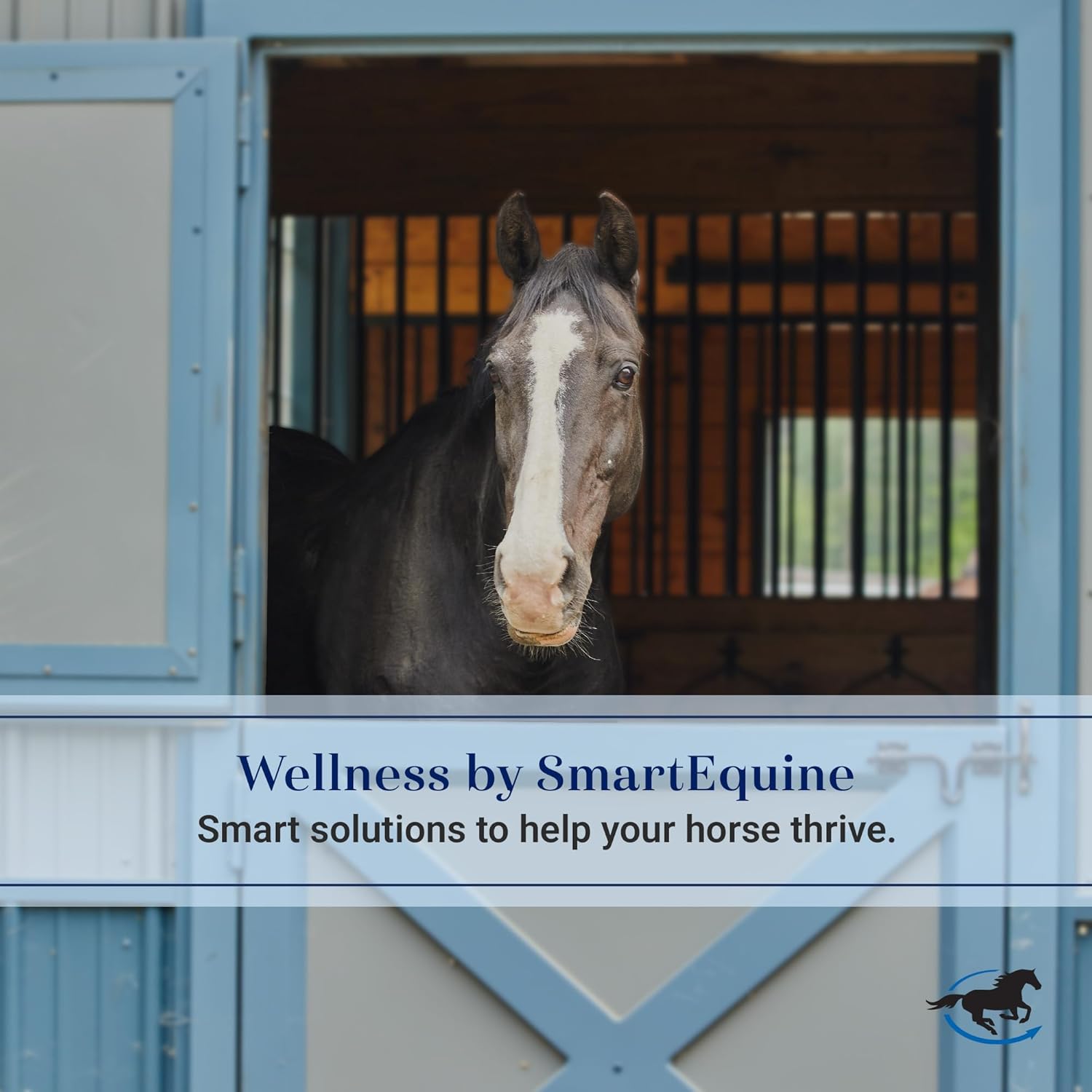 SmartEquine Fly Mask with UV Protection, Ears, and Mesh | Wide Secure Closure | UV Fly Mask for Horses (Horse)