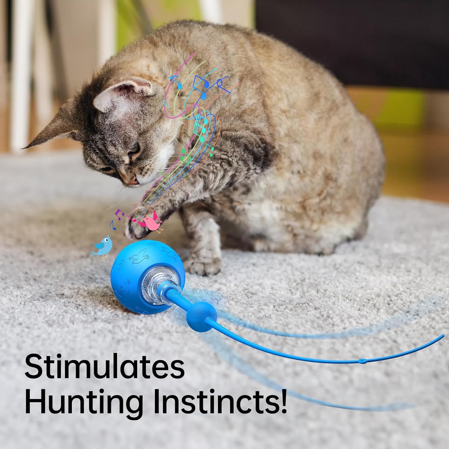 Interactive Cat Toy for Indoor Cats,Automatic Electric Self Rotating Ball with Chirping, Led Light and Long Tail for Motion Activated, Smart Spinning Ball for Fun Exercise, Blue
