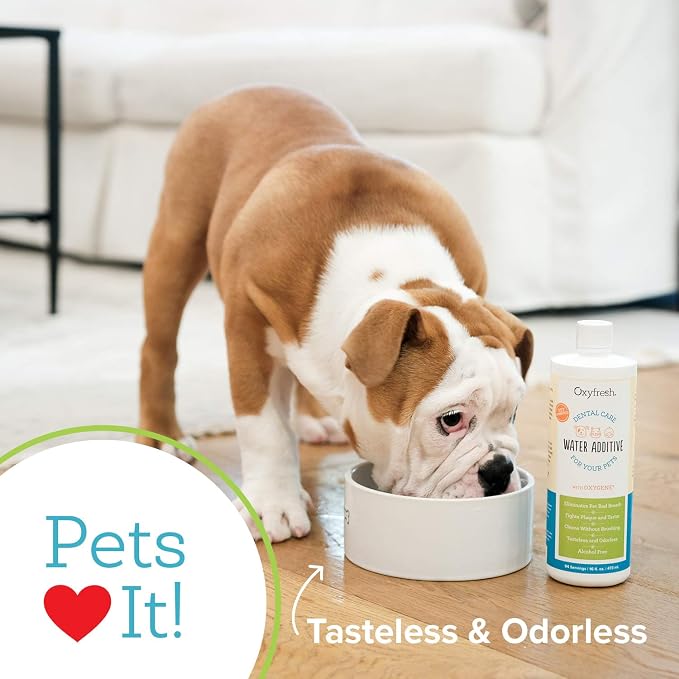 Oxyfresh Premium Pet Dental Care Solution Pet Water Additive: Best Way to - Image 5
