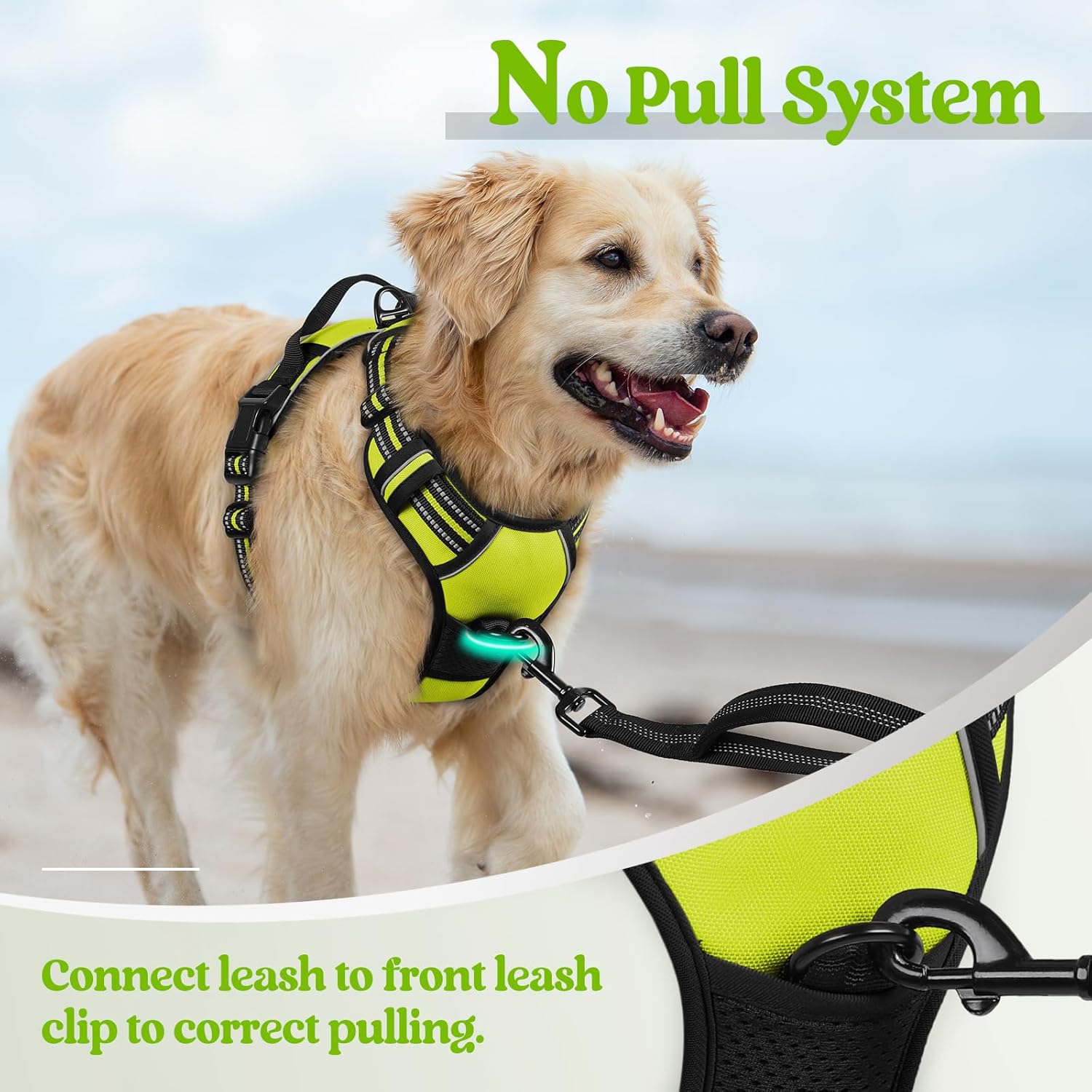 rabbitgoo Dog Harness No Pull with 2 Leash Clips, Adjustable Soft Padded, Reflective Oxford No Choke Pet Vest with Easy Control Handle for Medium Sized Dogs, Green, M