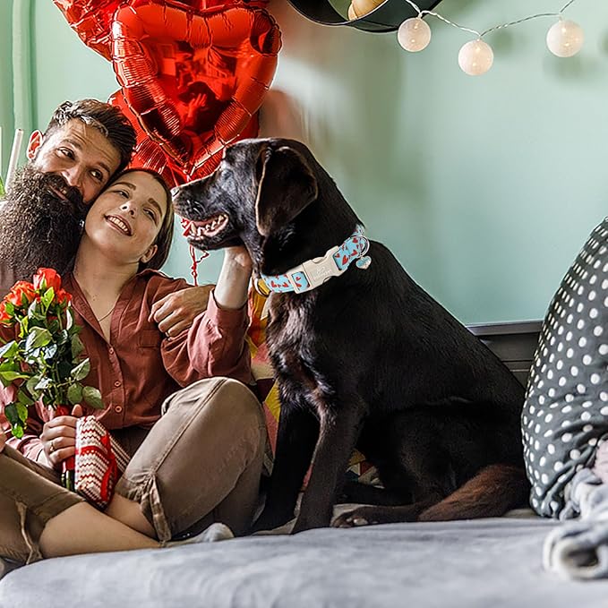 Valentines Dog Collar for Giant Large Dogs - Image 2