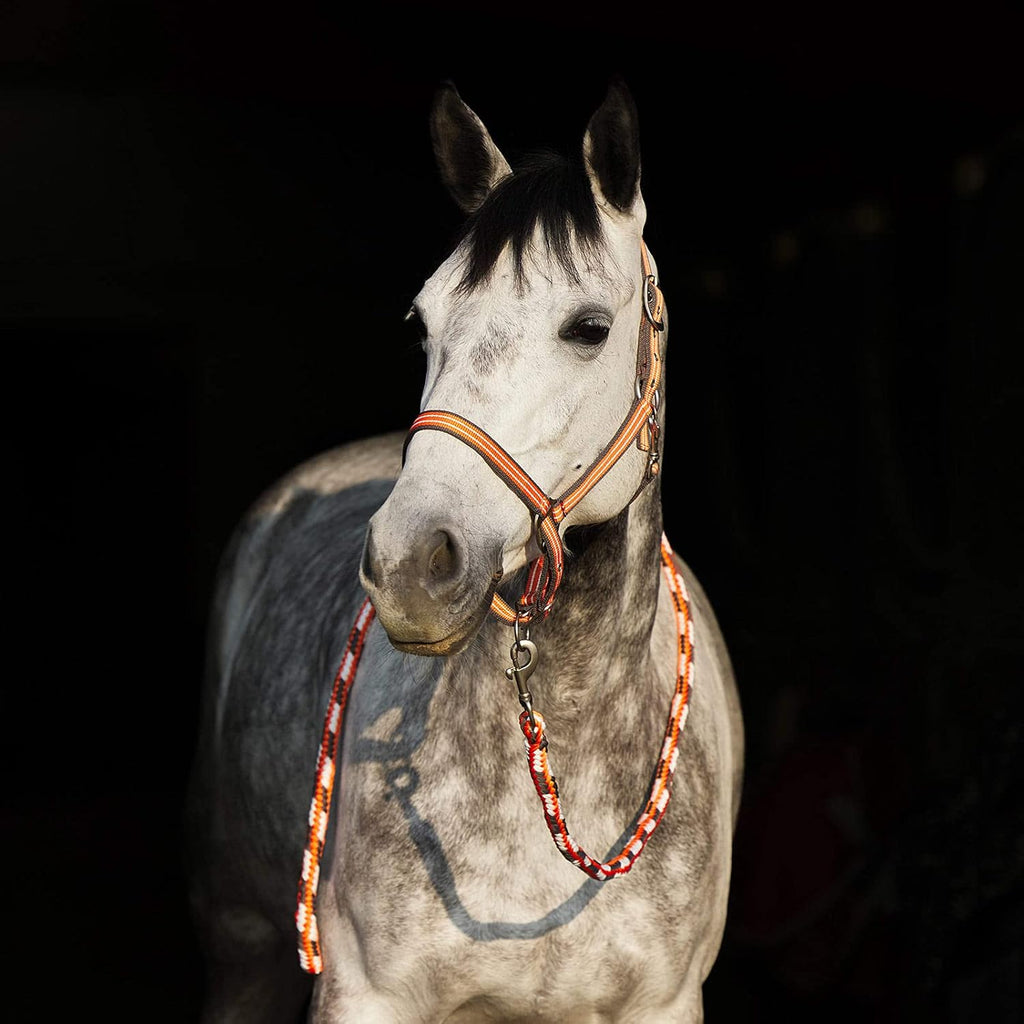 HORZE Adepto Adjustable Horse Halter | Soft, Durable Polyester - Coral Gold - Warmblood