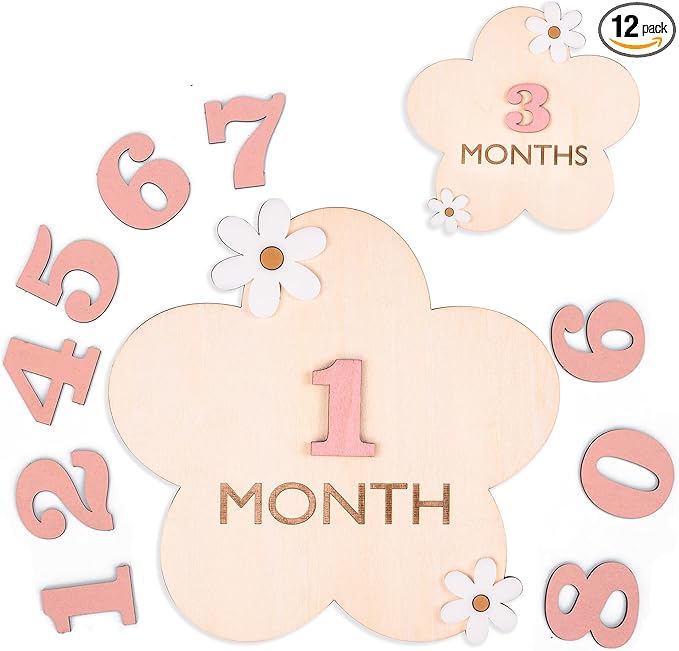 Daisy 3D Baby Monthly Milestone, Wooden Baby Milestone Signs, Monthly Milestone Wood Discs, Baby Milestone Discs (3D Flower)