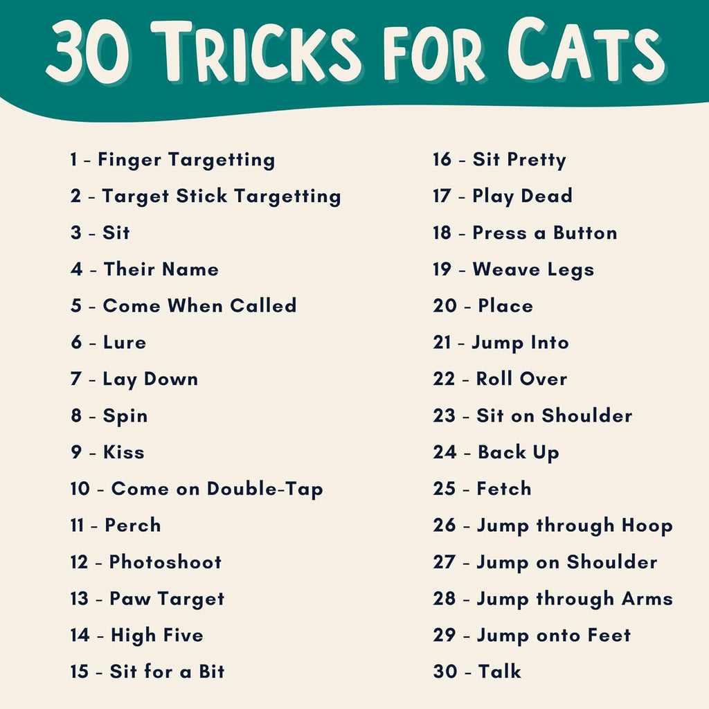 ALBERT & MIA Cat Clicker Training Kit + The Click Crusade Bundle (Cat Training Card Game Guide to Clicker Training for Cats for Teaching Tricks, Improving Communication and Bonding with Your Kitten