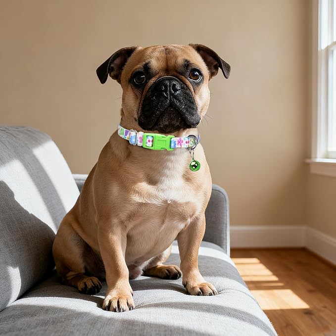 Puppy Collar with Bell，Nylon - Image 5