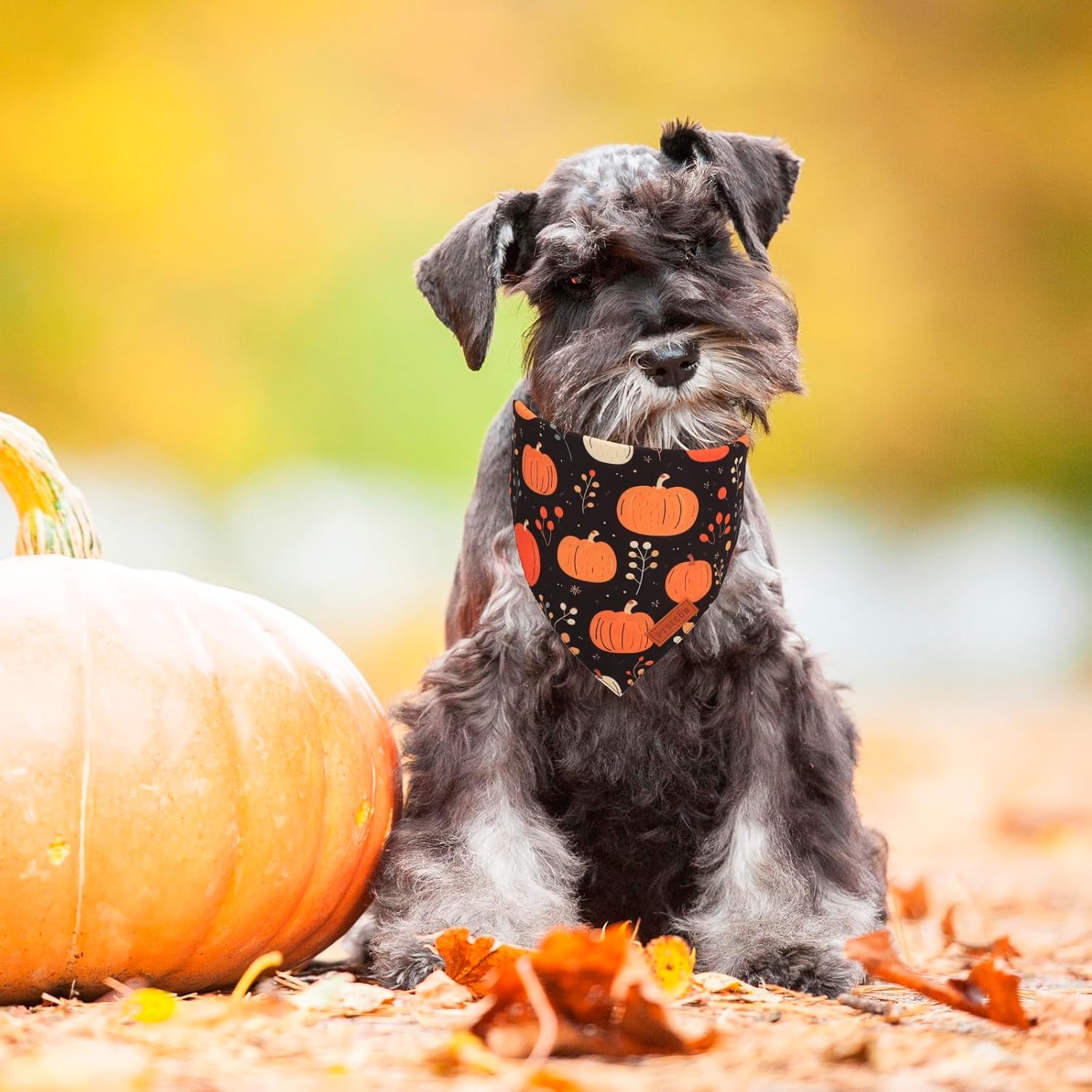 PTDECOR Fall Dog Bandana, Pumpkin Mushroom Design Scarf Reversible Holiday Dog Scarf, Triangle Thanksgiving Bandanas for Small Dogs Puppies Cats (Small)