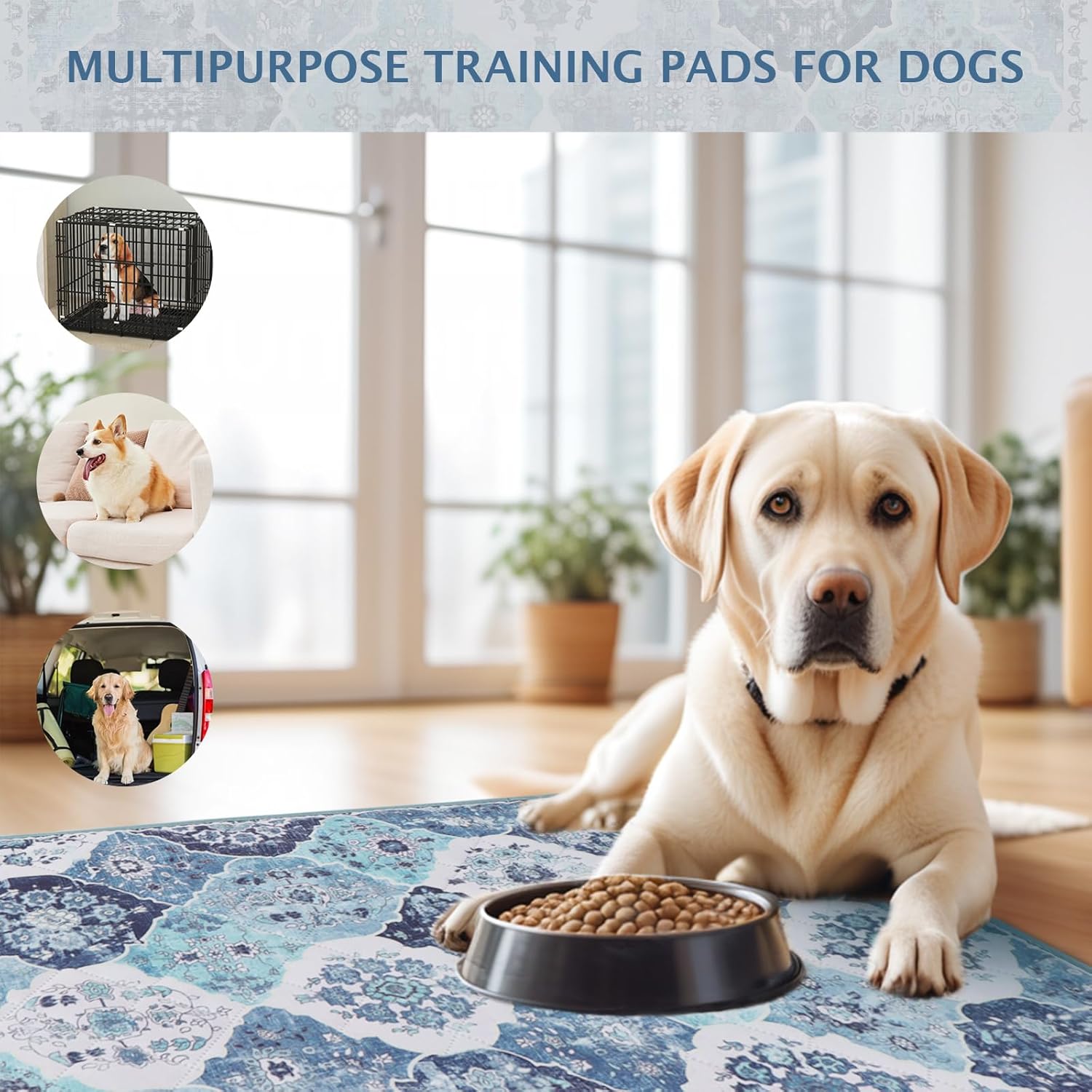 IEUUMLER Washable Pee Pads for Dogs, 1 Pack Reusable Non-Slip Grip, Super Absorbent Waterproof Puppy Pads for Potty Training, Playpen, Crate, Whelping Box EU011 (Blue, 63" x 63")